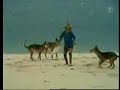 afv on the beach