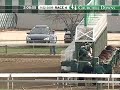 CHURCHILL DOWNS, 2009-11-22, Race 4