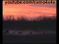 Wild Hog Kill One Shot 300 wsm Wild Hog Kill One Shot 300 wsm