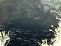 sotano-de-las-golondrinas.html