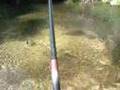 De pesca en el Alberche