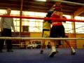 anglaise,boxe,