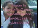 Fin De A�oO! 2008 6toO!! (L)!