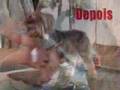 Foto v�deo