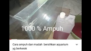 Download Lagu Cara Mudah Bersihkan Aquarium Yg Berkerak Mp3