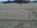 videos de TENIS MAR FINAL CAPITULO ESCOCIA.3gp