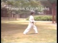 taekwondo poomsae taekwondo poomsae