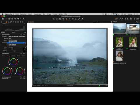 Bildbearbeitung und Bildoptimierung mit Capture One Pro 10 (DE)