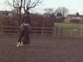 Newton Flyer Jumping Practice