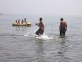 Gordos al agua
