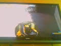 halo 3 forge gameplay