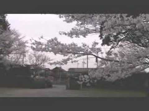 汽車と桜2008（ＪＲ東海）