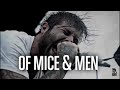 Farewell To Shady Glade - Of mice and men