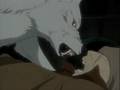 Wolf`s rain video