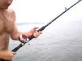 Nice Blue fish landed Nice Blue fish landed