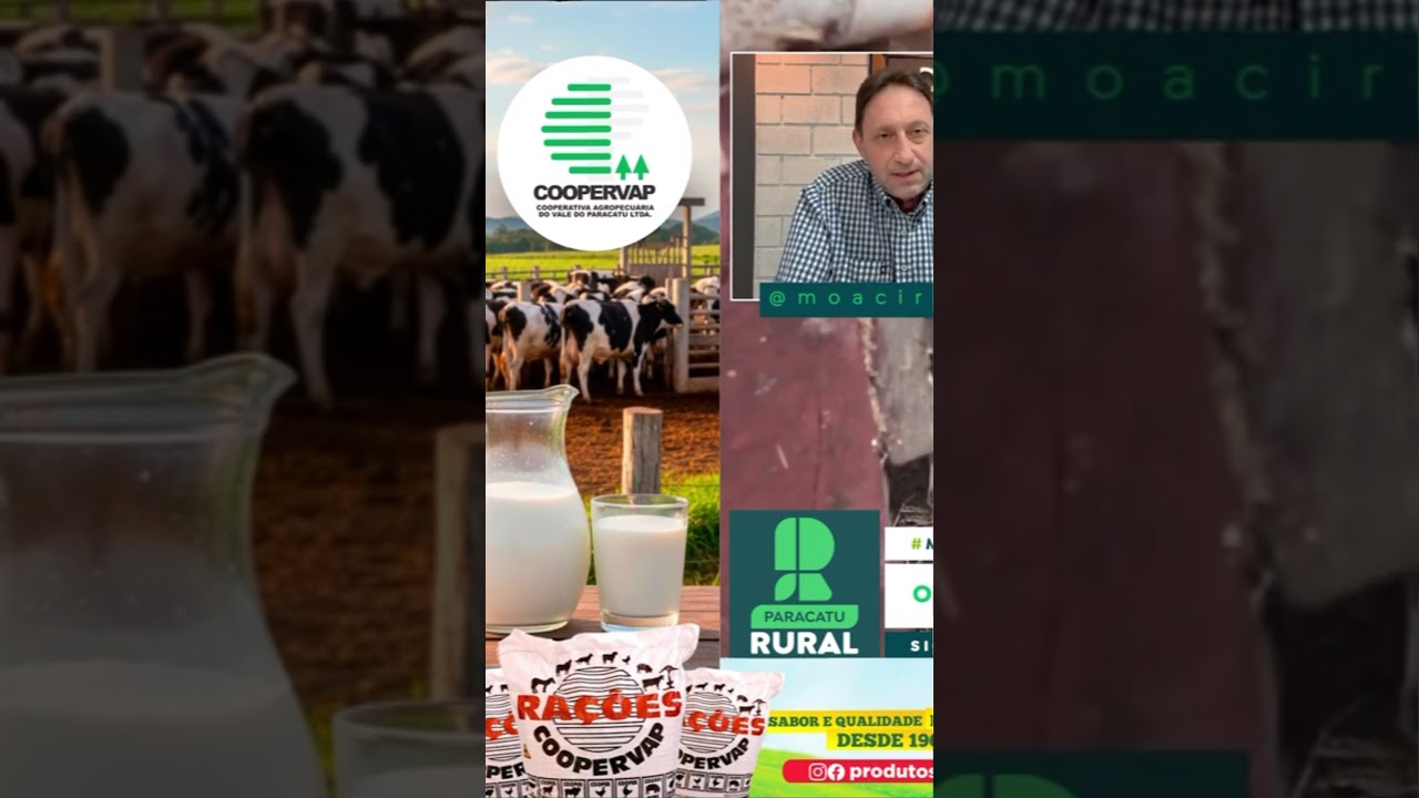 O Bezerro Sumiu: Oferta despenca e preços do boi disparam