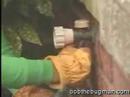 Termidor - Prevention Tips (7) Termidor - Prevention Tips (7)