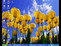 TIR CONT..wmv