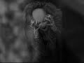 sopor aeternus - penitencia y dolor