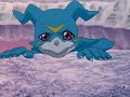 Digimon Adventure 02 Movie 3C - The Golden DigiMentals