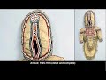http://www.mccord-museum.qc.ca/en/keys/webtours/tourid/cw_inuitclothing_en
