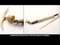 http://www.mccord-museum.qc.ca/en/keys/webtours/tourid/cw_inuitclothing_en
