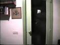 videos de Sorpresa sorpresa Nipe, Nahum y Bicho