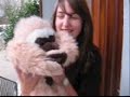 aprem vid�o avec charline & mil�ne