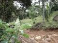 videos de trilha 29-11-2008 066.mpg