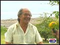 Adolfo Pérez Esquivel