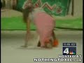 Vtipn� video