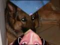 clip video Mario Vazquez EVERYTIME-I---