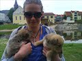 mein hund eamy
