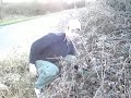 vromoukounellos _ stinky bunny story