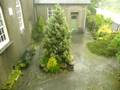 Thundery Downpour