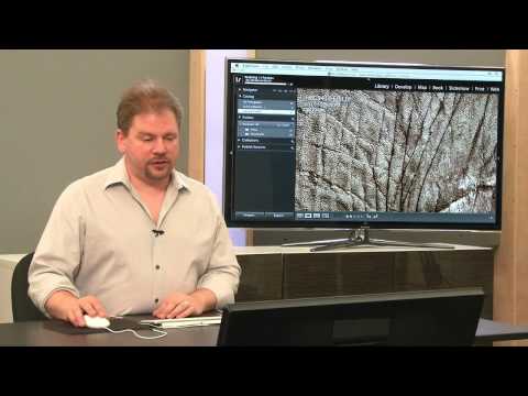 how to organize lightroom