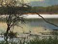 Deep Nature