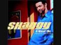 Shaggy-It Wasn't Me