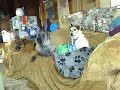Dogs Eatin cheesy poofs