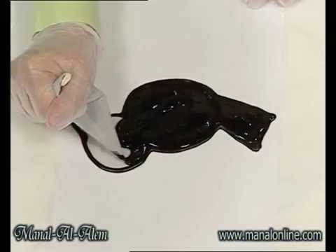 فن الشوكولاتة 27-1-2011