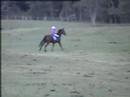 Me ridding out on the x-country. sorry about all the horses in the way. please be nice =)