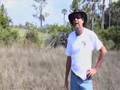 Skunk Ape Documentary (Florida's BIGFOOT) (Short Version)