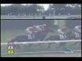 videos de [レースリプレイ] 081115 5京都3 03R