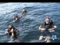 Ver Video