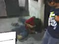 Pelea del pollo con el Kevin