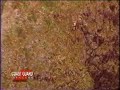 Coast Guard: Helicopters To The Rescue Teaser