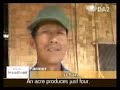 20081210 Myanmar farmers unfazed by poor harvest