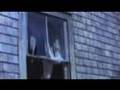 'My Destiny' by Borjen - Nature Meditation Music Video