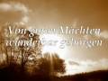 Vorschau Bild