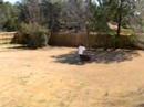 mowing the lawn